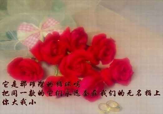 dvubb 按此在新窗口浏览图片